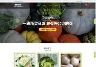 北辰营销网站